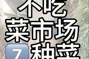 2024欧洲杯完整赛程：揭幕战6月14日德国vs苏格兰，7月14日决赛